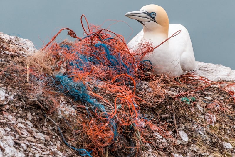 Biodegradable Materials